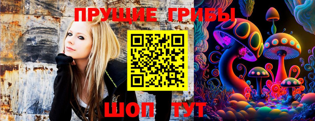 Псилоцибиновые грибы ЛСД Видное